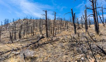 3600 Moondance Way, Bellvue, CO 80512