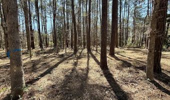 0 Lot 2 Creek Place Rd, Arapahoe, NC 28510