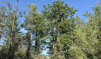 50 Acres Herron Rd, Alpena, MI 49707