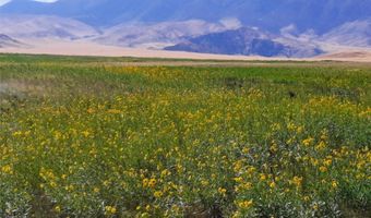 nhn Stagecoach Spur W unit 935-6 935-6, Belfry, MT 59008