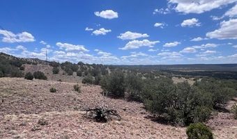 41 Indian Drive CR 8062, Concho, AZ 85924