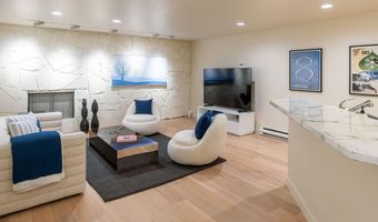 506 W Hallam St, Aspen, CO 81611