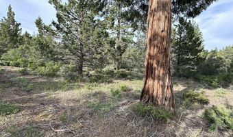 Porpoise Lane Lot 29, Bonanza, OR 97623