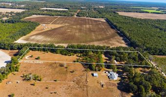 4506 10th St, Bell, FL 32619