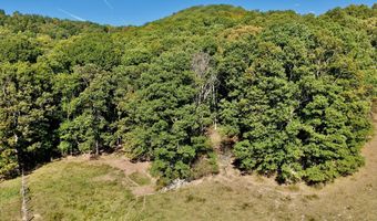 Bennett Mountain Road, Alderson, WV 24910