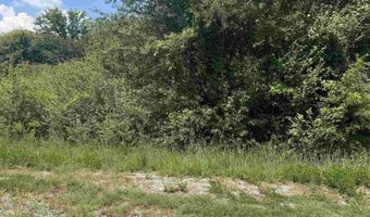 0 HIGHWAY 202, Anniston, AL 36201