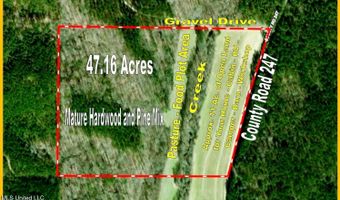 519 247 Country Rd, Bruce, MS 38915