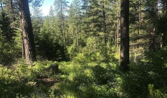 41 Quiet Rd, Athol, ID 83801