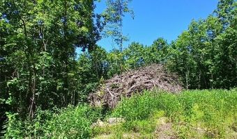 0000000 Easement, Annapolis, MO 63620