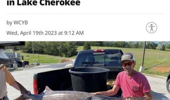 769 Gilmore Rd, Bean Station, TN 37708