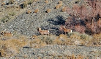 221 Lisa Dr, Carson City, NV 89415