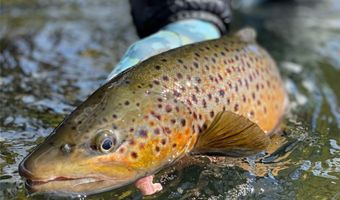 Riverway Road lot 15 A Tbd, Belgrade, MT 59714