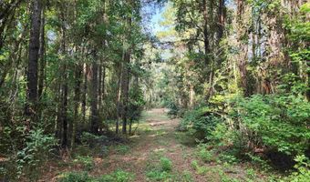 0 Lowery Rd Lot #11, Atmore, AL 36502