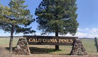 Lot 35 Pyramid Rd, Alturas, CA 96101