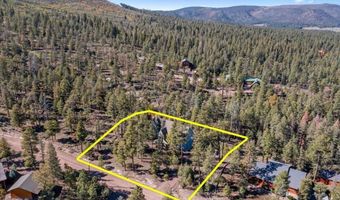 12 County Rd 2074, Alpine, AZ 85920