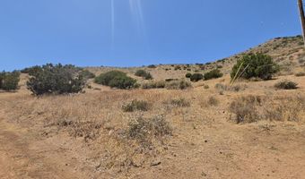 33805 Buffalo Ridge Rd, Acton, CA 93510