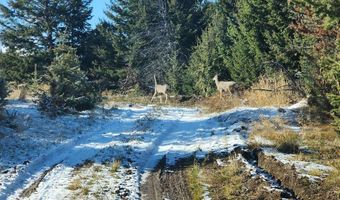 Tract B1, Anaconda, MT 59711