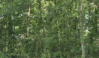 46 Acres 10th St NW, Arab, AL 35016