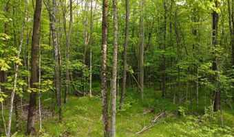 0000 CTH H, Antigo, WI 54409