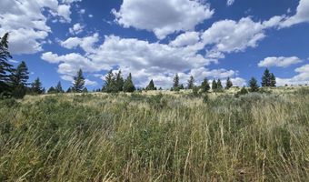 Lot10 Caribou NF Rd 36, Bancroft, ID 83217