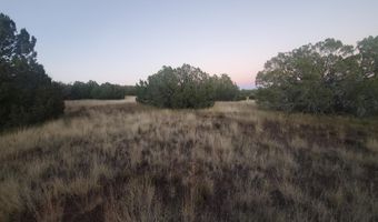 1 COUNTY ROAD N8155, Concho, AZ 85924