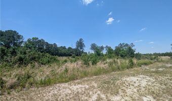 Tew Road, Autryville, NC 28318