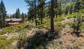 490 Nature's Edge Rd, Gardnerville, NV 89460