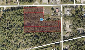 SR 40 Alco Road, Astor, FL 32102