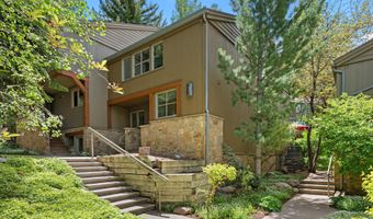 100 N 8th St 19, Aspen, CO 81611