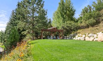 411 Willoughby Way, Aspen, CO 81611
