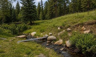 County Road 59, Allenspark, CO 80510