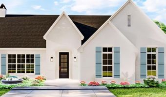 322 RS Co Rd 2340, Alba, TX 75440