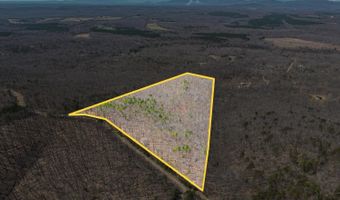 Larkin Mountain, Amherst, VA 24521
