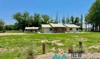 706 W Cherry Ln, Carlsbad, NM 88220