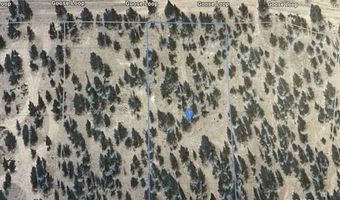 Goose Lp, Alturas, CA 96101