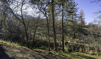 551 Grandview Dr, Ashland, OR 97520