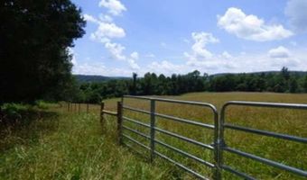 1576 Sheltontown Rd, Albany, KY 42602