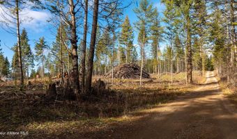 773 Cougar Loop, Clark Fork, ID 83811