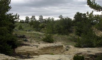 nhn Cottonwood Road, Bridger, MT 59014