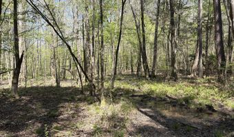 SW Auburn Drive, Bogue Chitto, MS 39629
