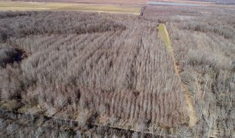 6075 Curtis Rd, Batesville, MS 38606