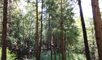 2159 Sierra Pkwy, Arnold, CA 95223