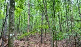 CR 265, Bruce, MS 38915