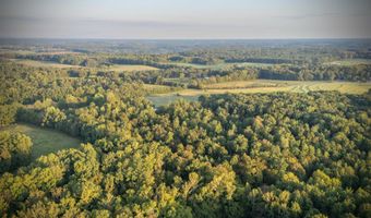 Tract 2 County Road 503, Anderson, AL 35610