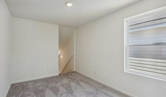 10644 Harlequinn Plan: Proxy, Adkins, TX 78101