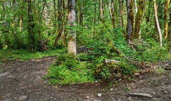 64601 E BRIGHTWOOD LOOP Rd, Brightwood, OR 97011