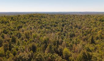 County Road 204, Alton, MO 65606