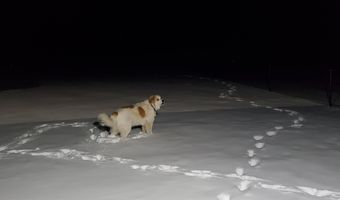 4775 S 50th Rd, Aldrich, MO 65601