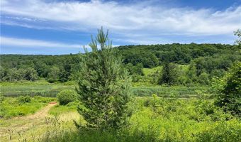 0 Woodland Hills Rd, Andes, NY 13731