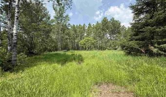 Samuelson Road-Sec22, Angora, MN 55703